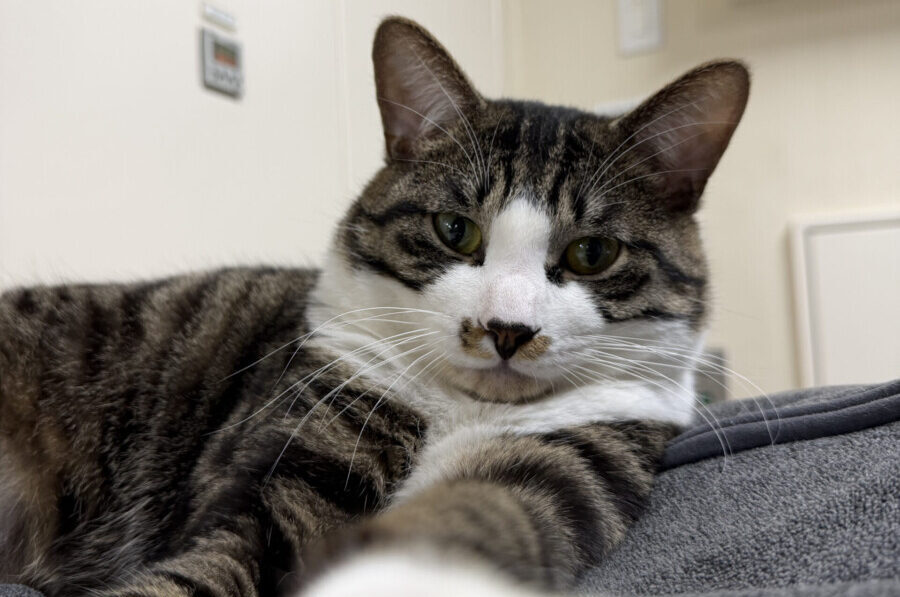 千里会の施設のイメージ画像